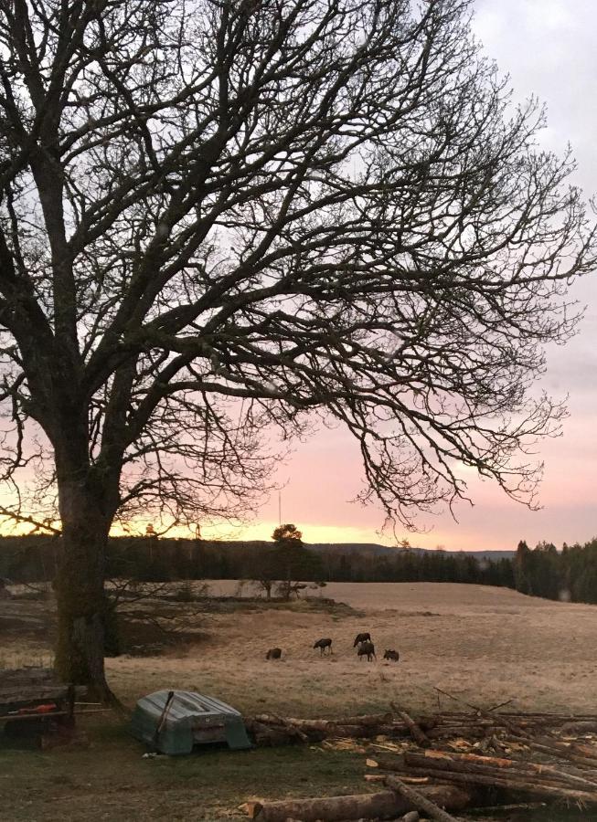 Stuga Vid Viltaker Naera Norska Graensen Stromstad Luaran gambar